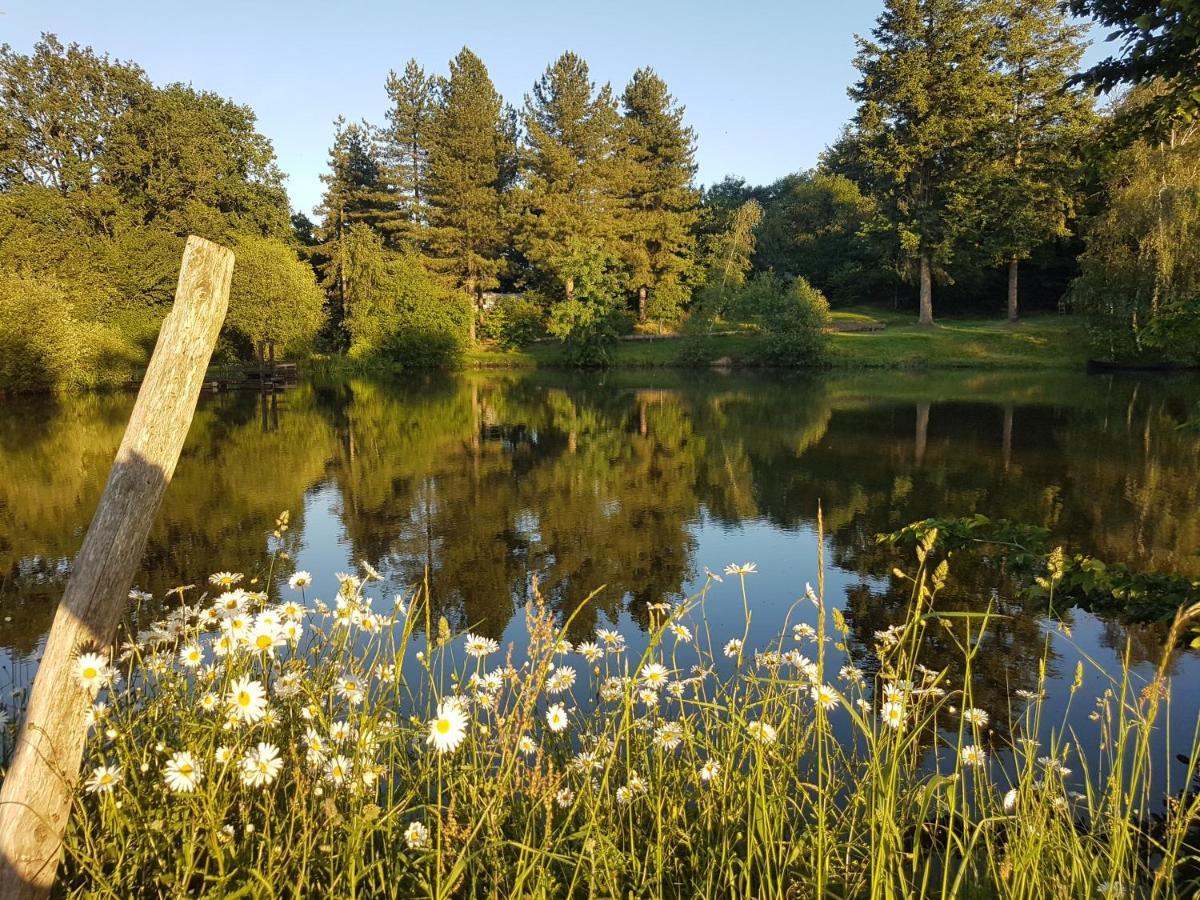 Camping De La Chagnee Saint-Aubin-le-Cloud Экстерьер фото